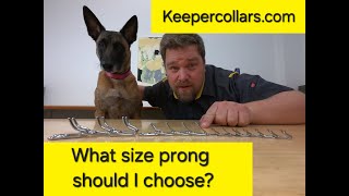 Which prong size should I choose [upl. by Sollows]