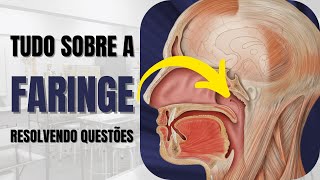 Resumo sobre a FARINGE  Resolvendo questões de Anatomia Humana [upl. by Ecirtak]