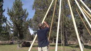 Laying in all the Tipi Poles [upl. by Otrebmuh]