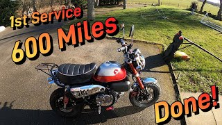 2022 Honda Monkey  600 mile First Service  Done [upl. by Yelserp769]