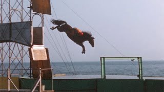 1959 Atlantic City  Showtime on the Steel Pier amp Horse Diving [upl. by Hollie705]