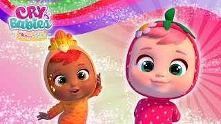 💟 WONDERFUL BABIES 💟 CRY BABIES 💧 MAGIC TEARS 💕 Long Video 🌈 CARTOONS for KIDS in ENGLISH [upl. by Bekelja]