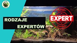 Rodzaje Expertów [upl. by Rillis]