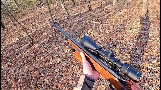 Deer Hunting Public Land PA  PA Rifle Season 2023 [upl. by Atnauqahs733]