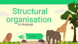 Structural organisation in animals class11 NEET 2025 part 1 [upl. by Nuahsyar900]