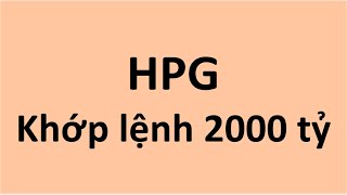 HPG khớp lệnh ngàn tỷ [upl. by Dachy]