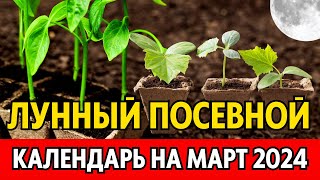 Когда сеять на рассаду в МАРТЕ 2024 Точный лунный посевной календарь на март 2024 по дням [upl. by Maggee]