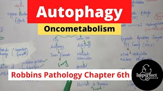 Autophagy OncometabolismHallmark of Cancer robbins pathology pathology neoplasia mbbsstudent [upl. by Monsour705]