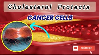 Cholesterol Protects Cancer Cell  Cell Signalling  Lipid Rafts  Hormone  Immune Response cancer [upl. by Adigirb]