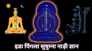 इडा पिंगला सुषुम्ना नाड़ी ज्ञान  ida pingala sushumna nadi knowledge  kundalini  yoga flow [upl. by Barbuto]