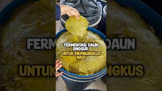 Cara Fermentasi Daun Anggur untuk Dolma yang Lezat  Tips Unik dari Desa [upl. by Catlee]