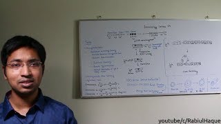 Immunology Lecture 04 Antibodies Part 2 HD Somatic Recombination amp Class Switching [upl. by Philine]