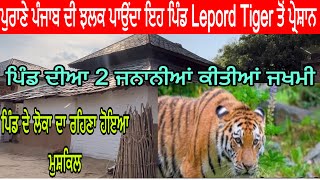 ਪੁਰਾਣੇ ਪੰਜਾਬ ਦੀ ਝਲਕ ਪਾਉਂਦਾ ਇਹ ਪਿੰਡ Lepord Tiger ਤੋਂ ਪ੍ਰੇਸ਼ਾਨ  ਪਿੰਡ ਦੀਆ 2 ਜਨਾਨੀਆਂ ਕੀਤੀਆਂ ਜਖਮੀ [upl. by Elaen]