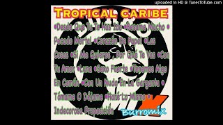 Tropical Caribe Mix Burromix [upl. by Nicolella]