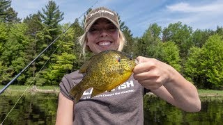 24 2019  Catching Everything on the Willow Flowage  PREVIEW [upl. by Rosabel]