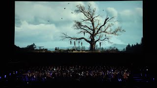 Eredin King of the Hunt  The Witcher 3  Live Orchestral Performance in Krakow 2016 4K UHD [upl. by Lolande579]