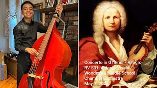 Concerto in G minor  Allegro RV 531 Antonio Vivaldi [upl. by Harlamert438]