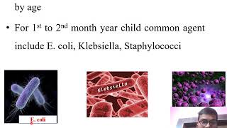 Pneumonia in children Lobarpneumonia Bronchopneumonia Interstitialpneumonia Viralpneumonia [upl. by Lelia]