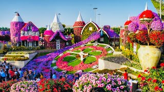 Miracle Garden Dubai 2022  The world’s largest natural flower garden [upl. by Nibla]