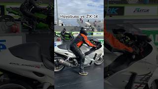 Which is Faster Hayabusa vs ZX14 [upl. by Blinnie]