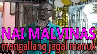 🔴 Lawak Batak Nai Malvinas ● Mangallang jagal manuk [upl. by Oisinoid]