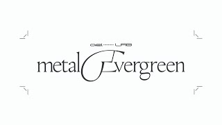 metalEvergreen pt1 [upl. by Ehcrop]