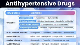 Antihypertensive Drugs Class And Their Examples In Pharmacology for D amp B Pharmacy [upl. by Aneehsar]