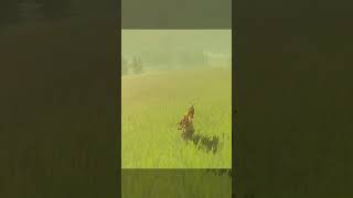 Slide on the grass in Zelda BOTW  Zelda Breath of the Wild viral Zelda botw shorts [upl. by Hsreh805]