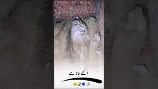 Akely Aayen hain dunya main akely jana hai  jagah jee lagany ki dunya nahin haiyoutubeshortsviral [upl. by Euqinay]