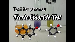 Ferric Chloride test for Phenols [upl. by Bidget]