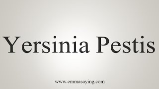 How To Say Yersinia Pestis [upl. by Eirrej683]