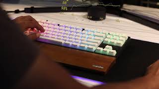 Keychron C1 HyperX PBT Pudding Keycaps Sound Test [upl. by Ahsenat290]