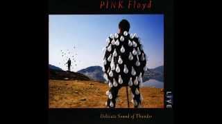 Pink Floyd  Sorrow Live [upl. by Ysnil]