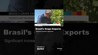 Brasils Grape Exports [upl. by Egrog]