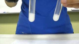 Chloride ion test [upl. by Berty]