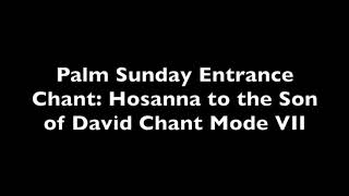 Palm Sunday Entrance Chant Hosanna to the Son of David Chant Mode VII [upl. by Bailey]