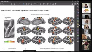 Neuroccino 7th Nov  A mindbody interface alternates with effectorspecific regions in motor cortex [upl. by Ardnauqal345]