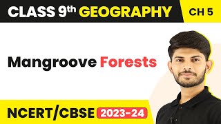 Class 9 Geography Chapter 5 Mangroove Forests Natural Vegetation amp Wildlife CBSENCERT [upl. by Nylatsyrk]