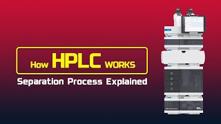 How HPLC Works The Separation Process Explained [upl. by Dnomhcir]