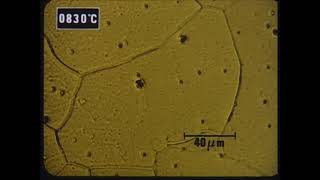 Displacements caused by martensitic transformation  hot stage microscopy [upl. by Denyse912]