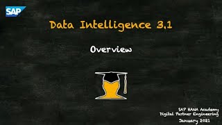 Data Intelligence 1 of 21  Overview [upl. by Oettam634]