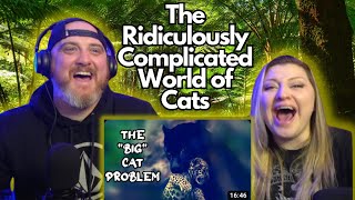 The Ridiculously Complicated World of Cats mndiaye97  HatGuy amp gnarlynikki React [upl. by Aihselef]