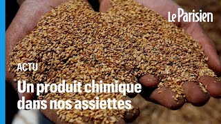 Oxyde d’éthylène  comment ce pesticide cancérigène interdit se retrouve dans nos assiettes [upl. by Eecrad614]