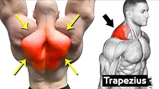 5 Best Traps exercises   Trap Workout  OG WORKOUT SESSION [upl. by Ahserb646]