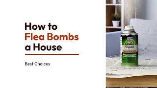 How to Flea Bomb a House  A StepbyStep Guide  Best choices [upl. by Fellows]