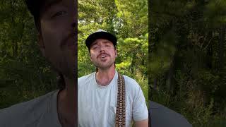 Dixieland Delight  Alabama  Daniel Bishop cover [upl. by Amzu]