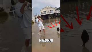 PRIA INI MANCING DI DEPAN RUMAH KETIKA BANJIR ‼️ shortsfeed fishing mancing [upl. by Handbook]