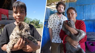 Las curiosas mascotas de la gente de la selva amazónica  ¿Cómo viven [upl. by Annanhoj]