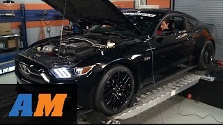 Stock 2015 Mustang GT Track and Dyno Numbers Review [upl. by Ayama]