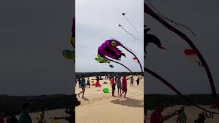 Kitty Hawk Kite Festival OBX Outer Banks North Carolina [upl. by Kenay]